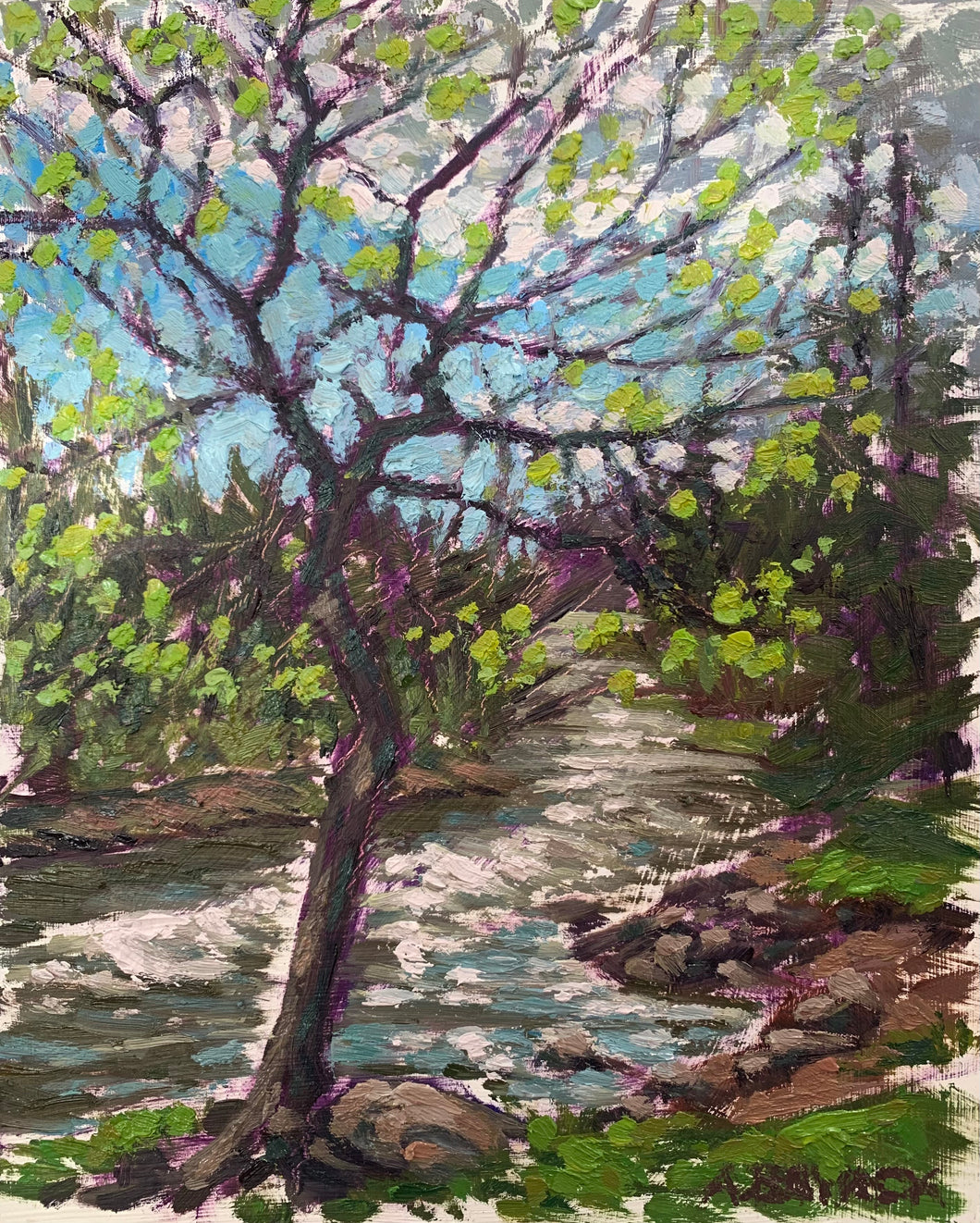 Spring, Beaver River