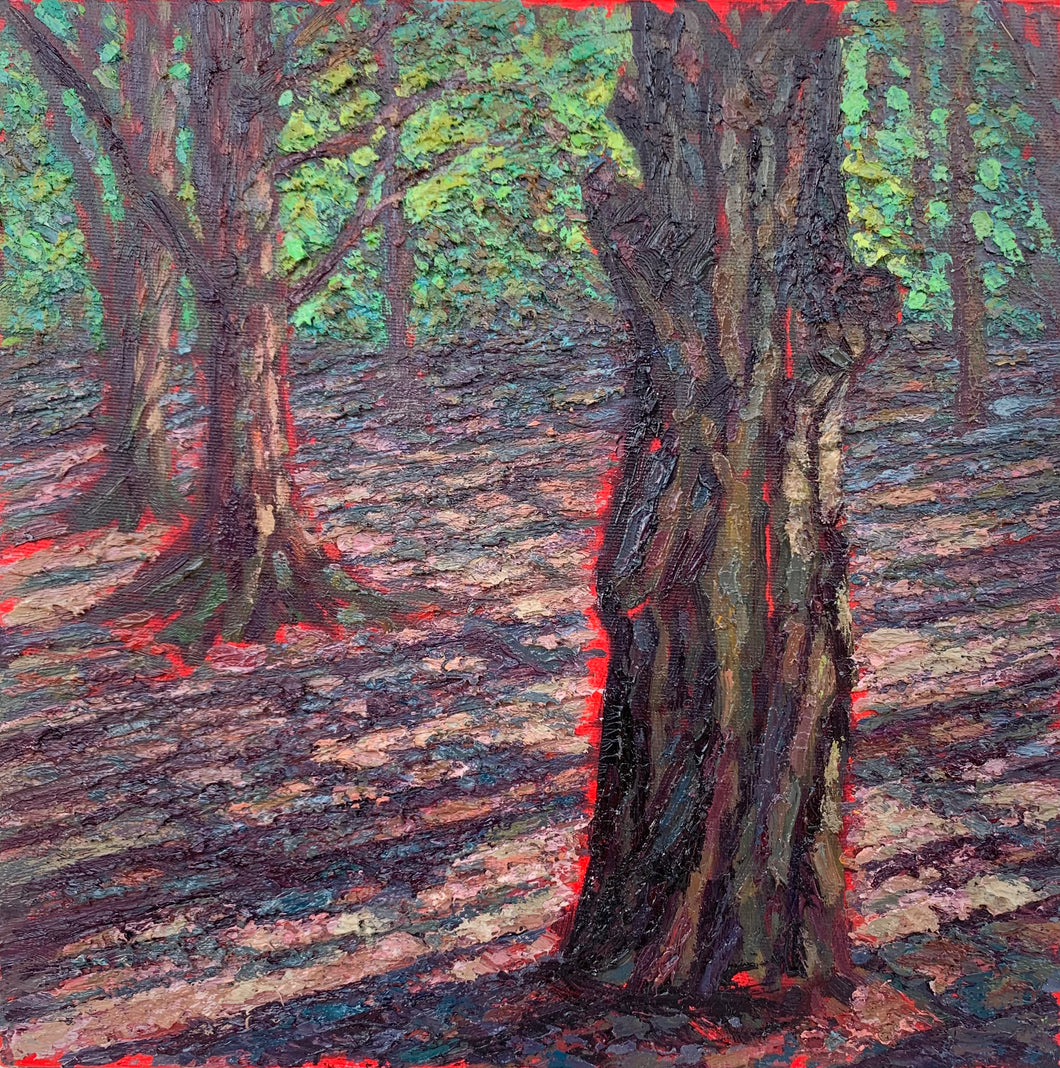 Light Through the Trees