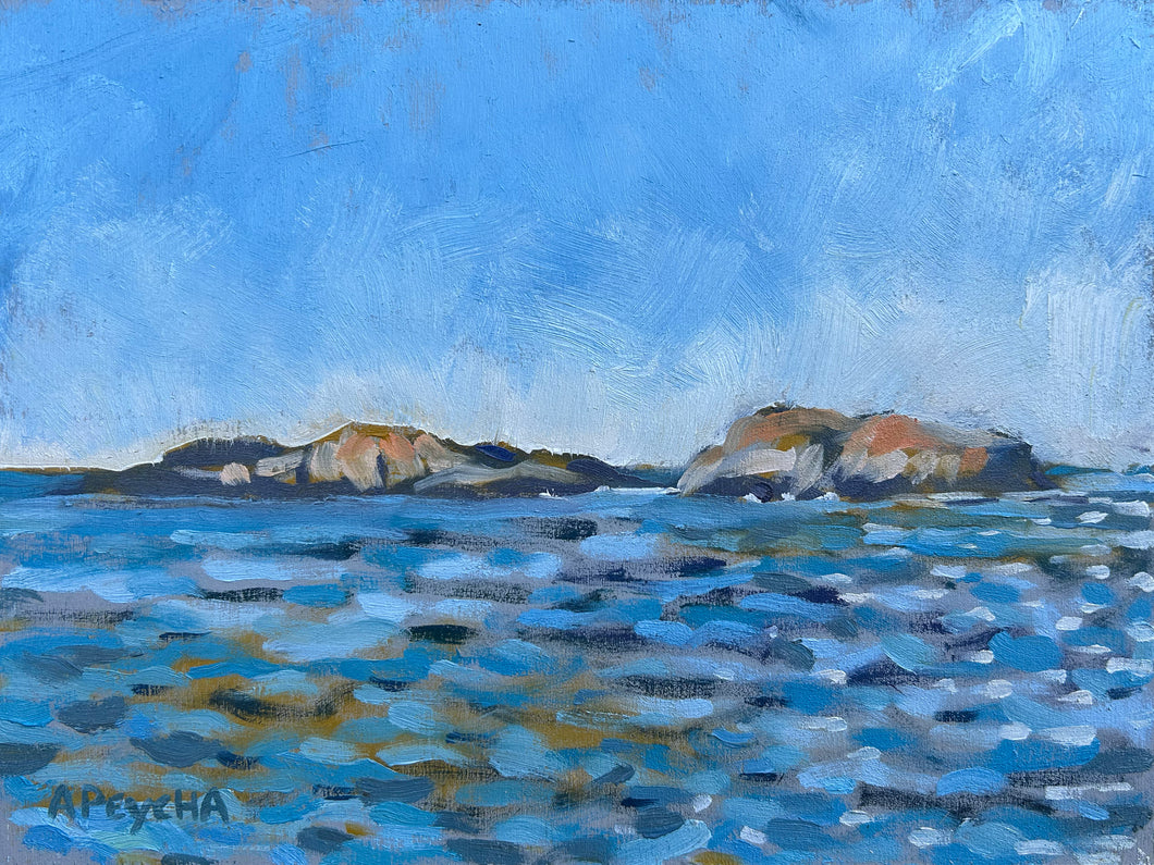 Afternoon Sun Franklin Island