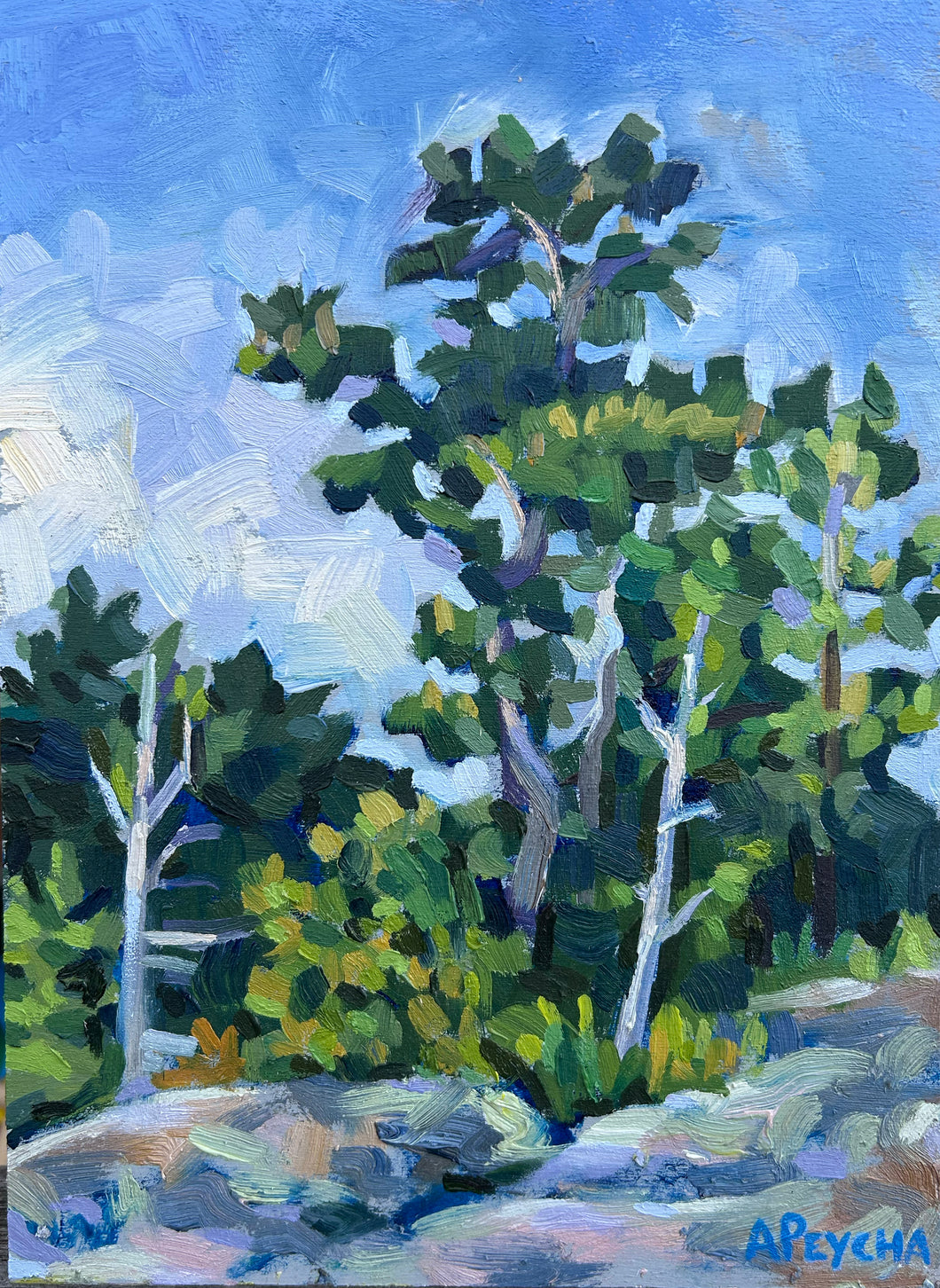 Franklin Island Pines