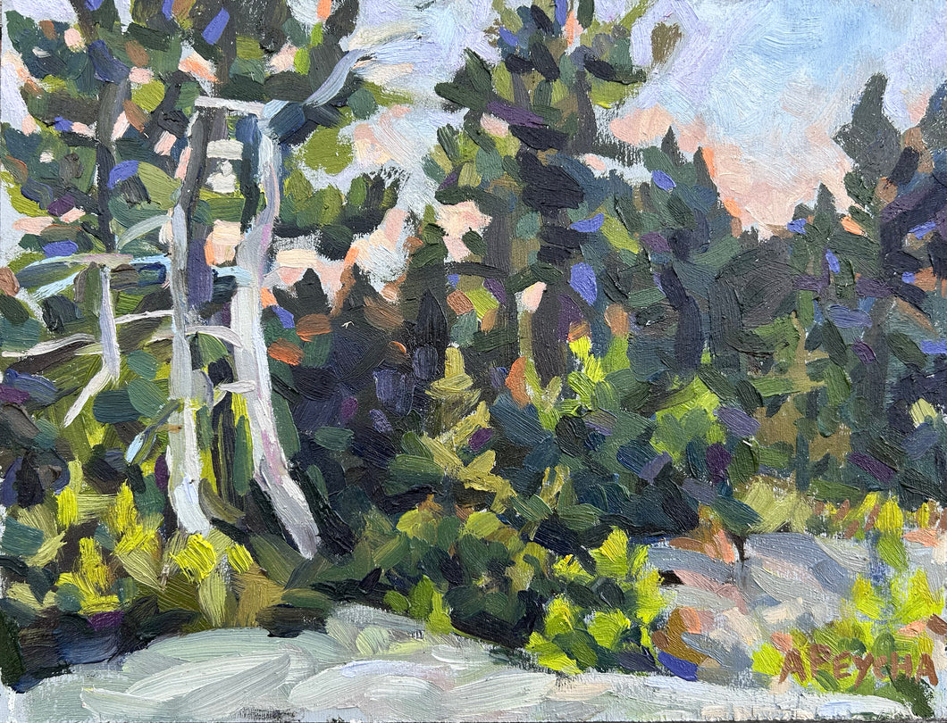 Gaspar Island Sunset Trees