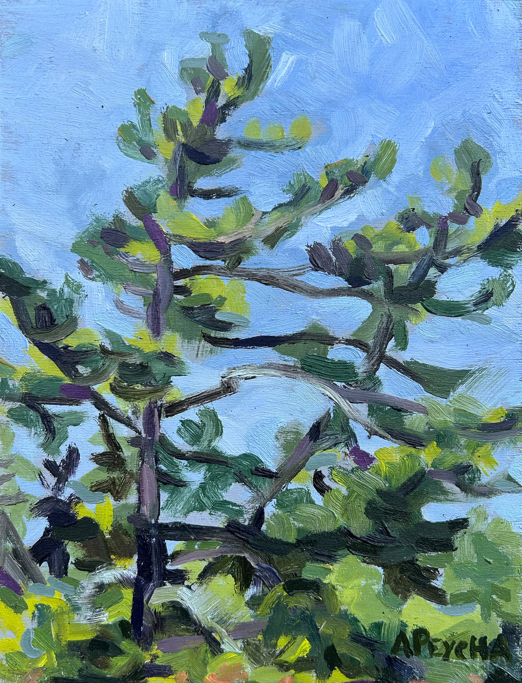 Green Trees Green Island