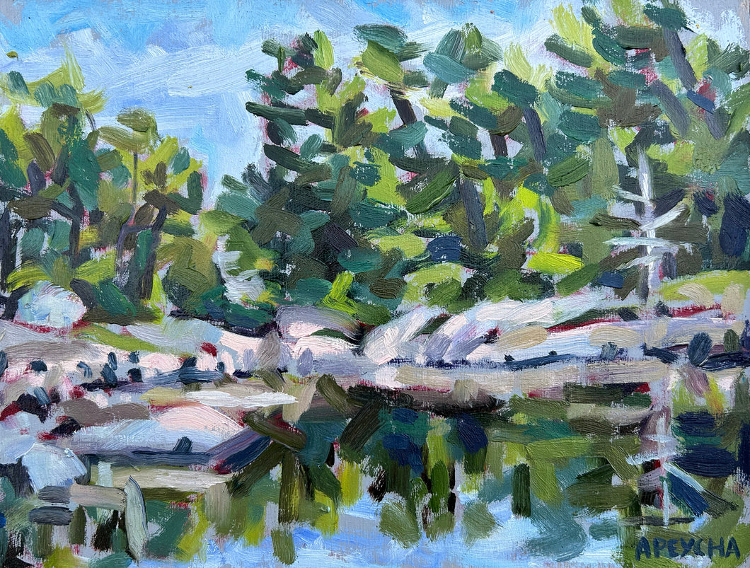 South Franklin Island Rocks and Trees