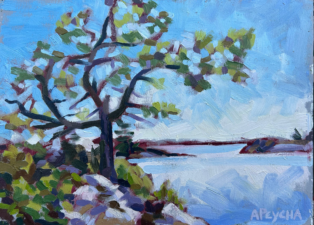 South Franklin Island Tangled Tree