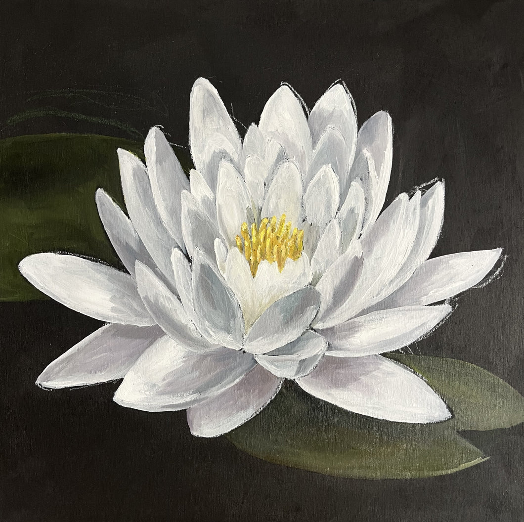 White Lotus
