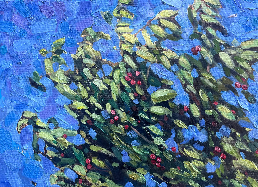 Wind in the Cherries