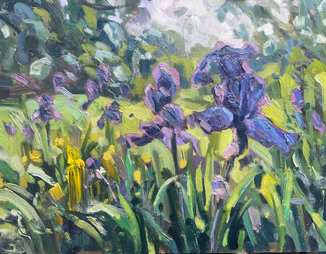 Iris Under Apple